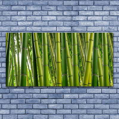 Quadro canvas Brotos de bambu da floresta de bambu