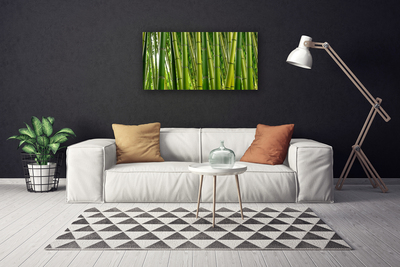 Quadro canvas Brotos de bambu da floresta de bambu