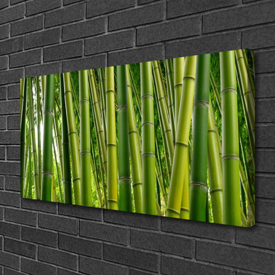 Quadro canvas Brotos de bambu da floresta de bambu