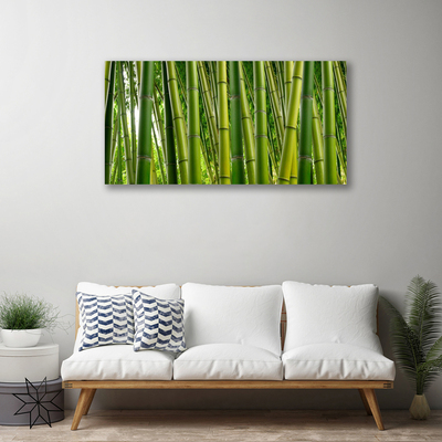 Quadro canvas Brotos de bambu da floresta de bambu