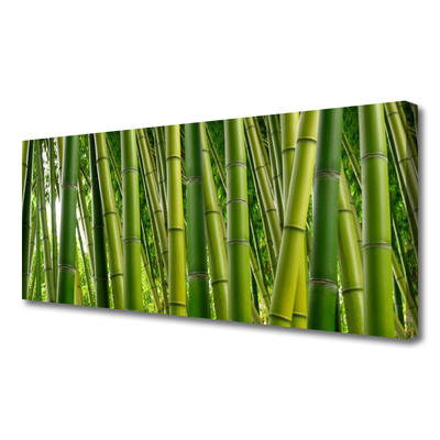 Quadro canvas Brotos de bambu da floresta de bambu