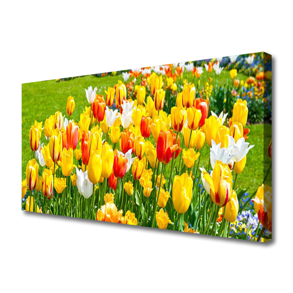 Quadro canvas Tulipas Flores Natureza