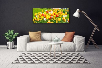 Quadro canvas Tulipas Flores Natureza