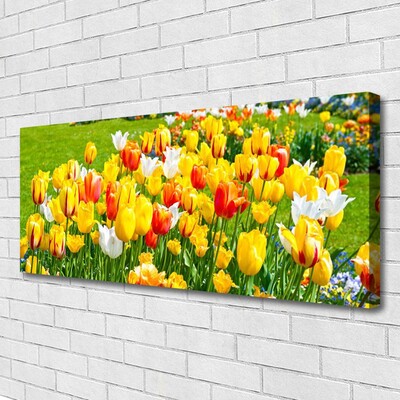 Quadro canvas Tulipas Flores Natureza