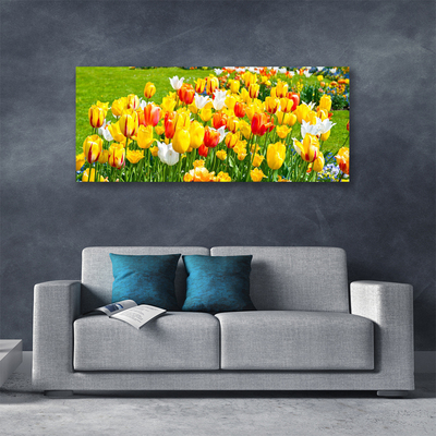Quadro canvas Tulipas Flores Natureza
