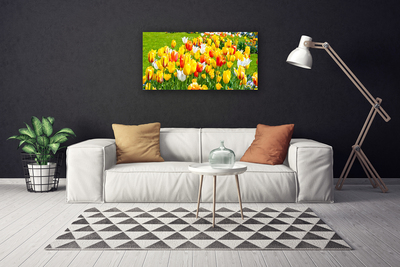 Quadro canvas Tulipas Flores Natureza