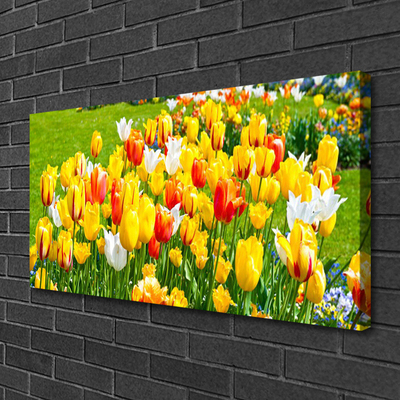 Quadro canvas Tulipas Flores Natureza