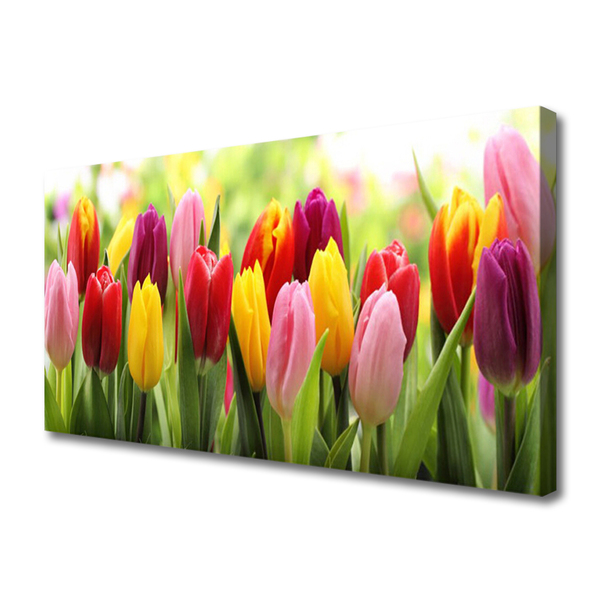 Quadro canvas Tulipas Flores Natureza