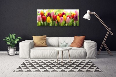 Quadro canvas Tulipas Flores Natureza