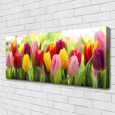 Quadro canvas Tulipas Flores Natureza
