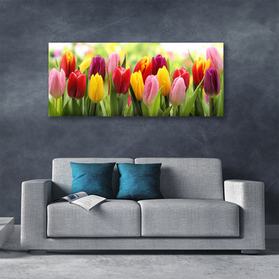 Quadro canvas Tulipas Flores Natureza