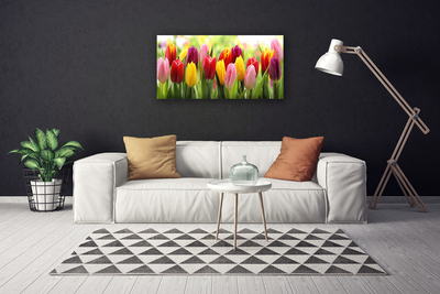 Quadro canvas Tulipas Flores Natureza