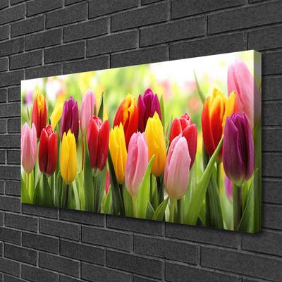Quadro canvas Tulipas Flores Natureza