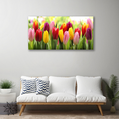 Quadro canvas Tulipas Flores Natureza