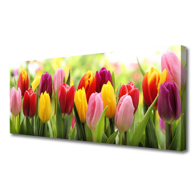 Quadro canvas Tulipas Flores Natureza