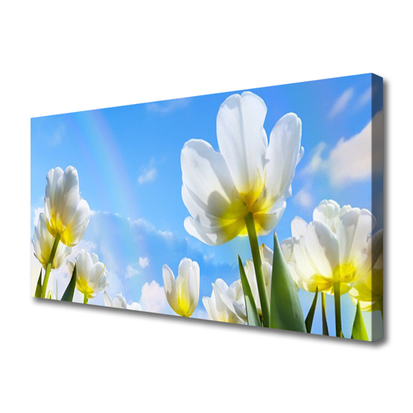 Quadro canvas Plantas Flores Tulipas