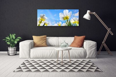Quadro canvas Plantas Flores Tulipas