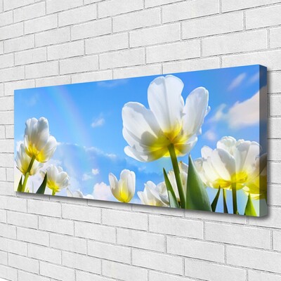Quadro canvas Plantas Flores Tulipas