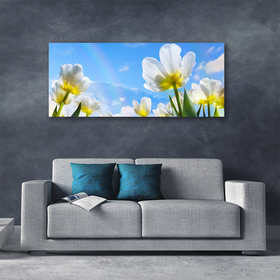Quadro canvas Plantas Flores Tulipas