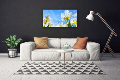Quadro canvas Plantas Flores Tulipas