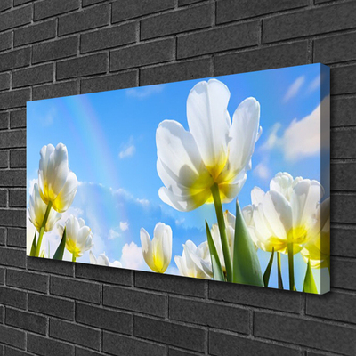 Quadro canvas Plantas Flores Tulipas
