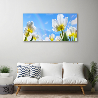 Quadro canvas Plantas Flores Tulipas