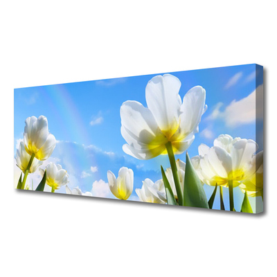 Quadro canvas Plantas Flores Tulipas