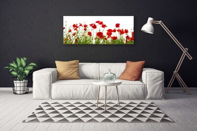 Quadro em tela Papoulas Flores Natureza Planta
