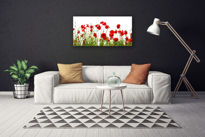 Quadro em tela Papoulas Flores Natureza Planta