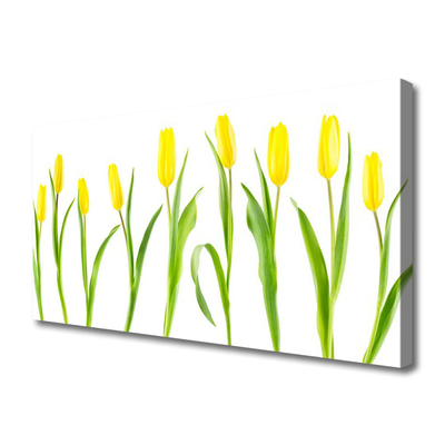 Quadro canvas Flores de tulipas amarelas