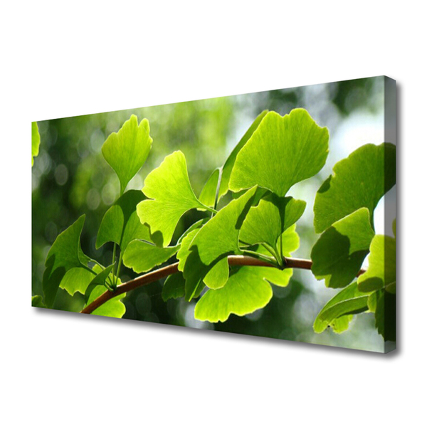 Quadro em tela Ramos Folhas Natureza Árvore