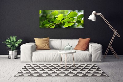 Quadro em tela Ramos Folhas Natureza Árvore