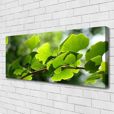 Quadro em tela Ramos Folhas Natureza Árvore