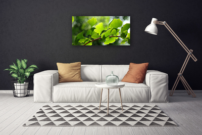 Quadro em tela Ramos Folhas Natureza Árvore