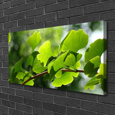 Quadro em tela Ramos Folhas Natureza Árvore
