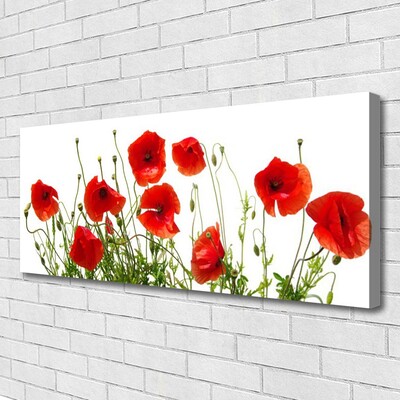 Quadro canvas Papoulas Flores Natureza Planta