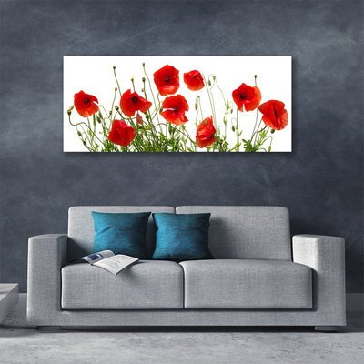 Quadro canvas Papoulas Flores Natureza Planta