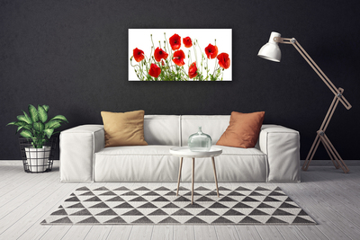 Quadro canvas Papoulas Flores Natureza Planta