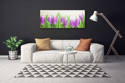 Quadro canvas Tulipas Flores Natureza