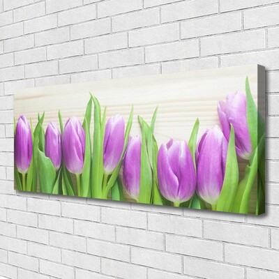 Quadro canvas Tulipas Flores Natureza