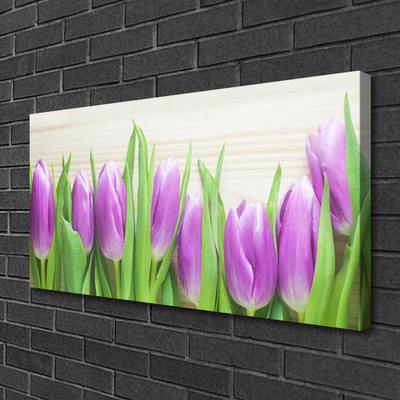 Quadro canvas Tulipas Flores Natureza