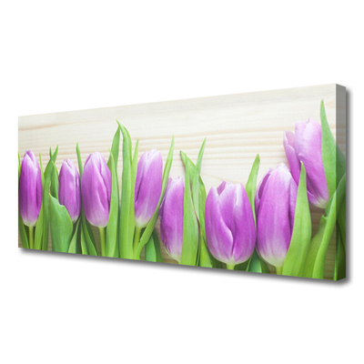 Quadro canvas Tulipas Flores Natureza