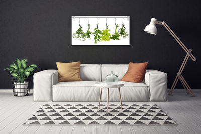 Quadro em tela Folhas Natureza Ervas