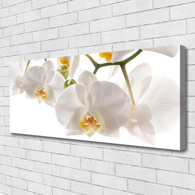 Quadro em tela Flores de orquídeas Natureza