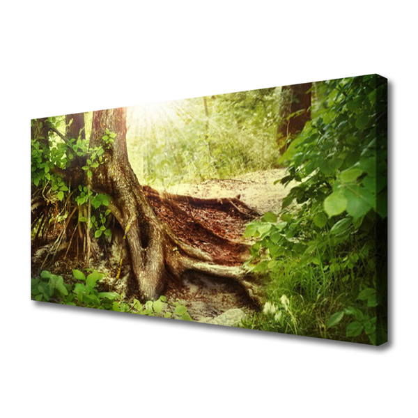 Quadro canvas Tronco de árvore Natureza Floresta