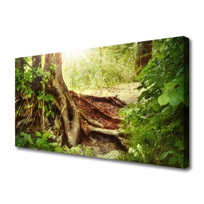 Quadro canvas Tronco de árvore Natureza Floresta