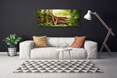 Quadro canvas Tronco de árvore Natureza Floresta