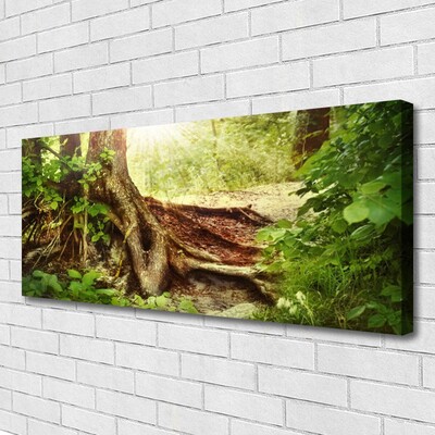 Quadro canvas Tronco de árvore Natureza Floresta