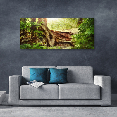 Quadro canvas Tronco de árvore Natureza Floresta