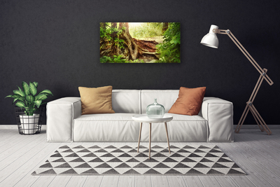 Quadro canvas Tronco de árvore Natureza Floresta